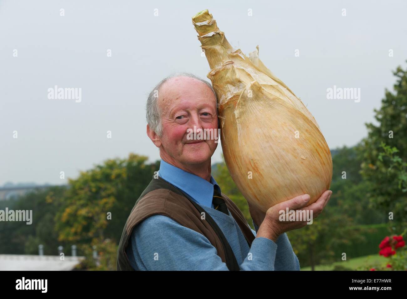 Harrogate, Yorkshire, UK. 8 Septembre, 2014. Harrogate Automne Show Peter Glazebrook détenteur du record mondial pour la plus lourde jamais d'oignons cultivés à 18lb 1/2 oz. Credit : Keith Foster/Alamy Live News Banque D'Images