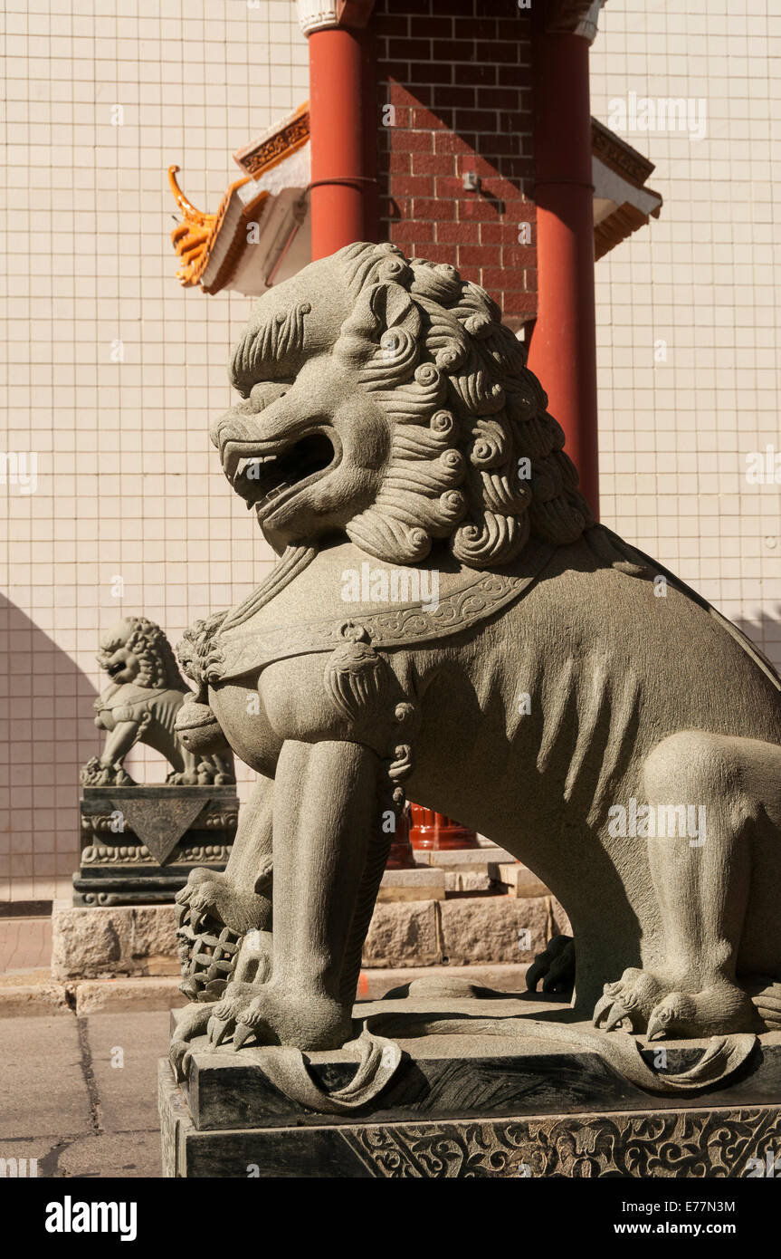 Elk203-5137v Canada, l'Alberta, Edmonton, centre-ville, Chinatown gate, guardian statue lion Banque D'Images