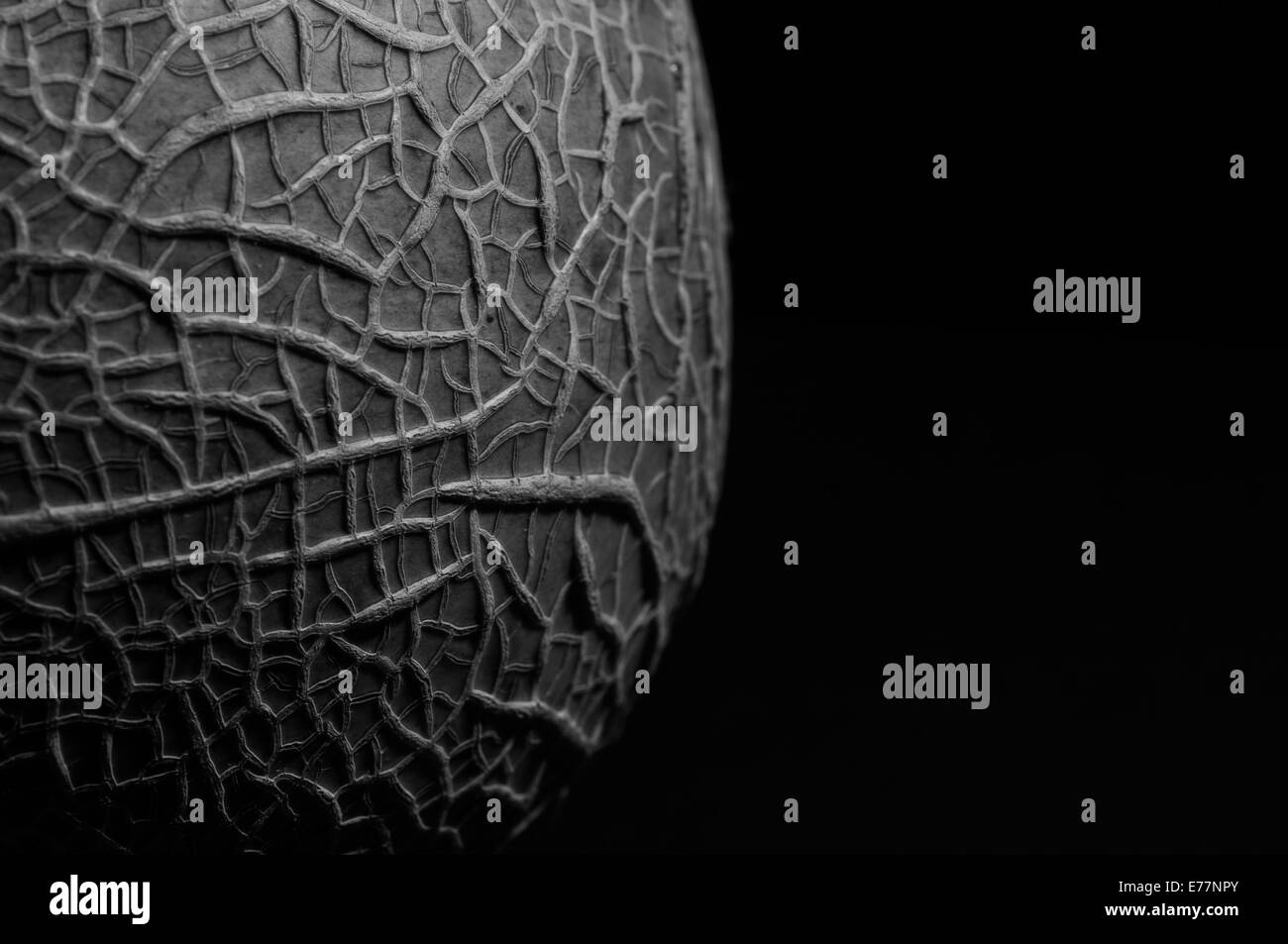 Une macro close up photos en noir et blanc d'un melon rock Banque D'Images