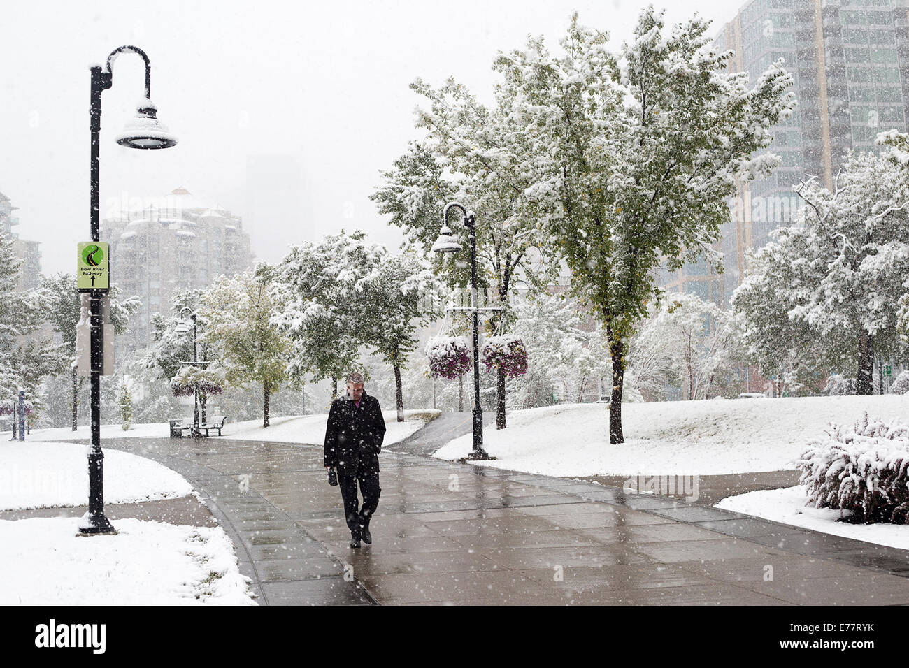 Calgary, Alberta, Canada, 8 sept, 2014. Une randonnée pédestre le long de la partie du centre-ville du sentier de la rivière comme la première neige de la saison met un terme à l'été, avec Environnement Canada prévoir 5 à 10 centimètres d'aujourd'hui. Les Calgariens hier apprécié 25 degré C Temps. Credit : Rosanne Tackaberry/Alamy Live News Banque D'Images