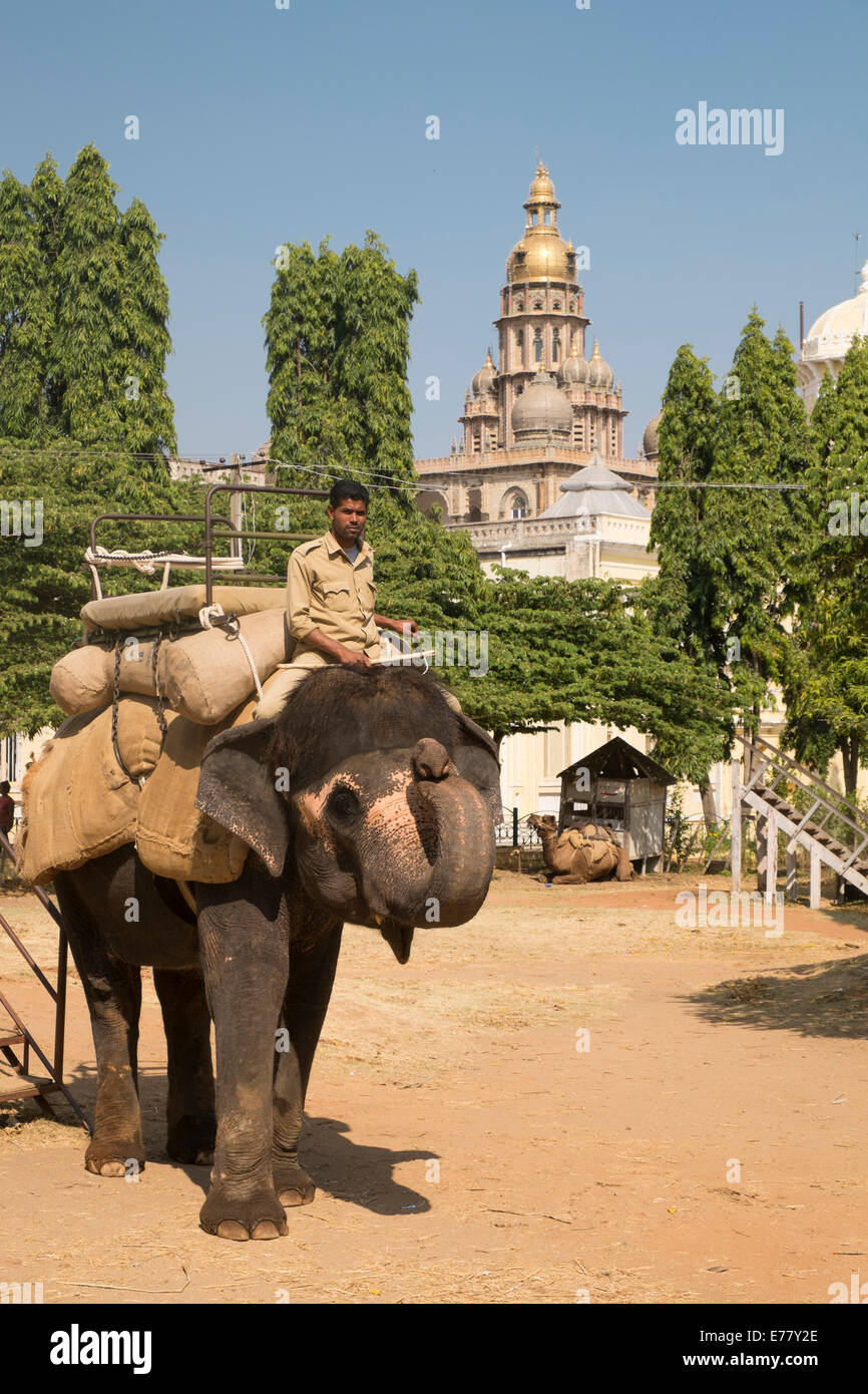Mahout équitation un Indien l'éléphant, le palais de Mysore, Mysore, Karnataka, Inde Banque D'Images
