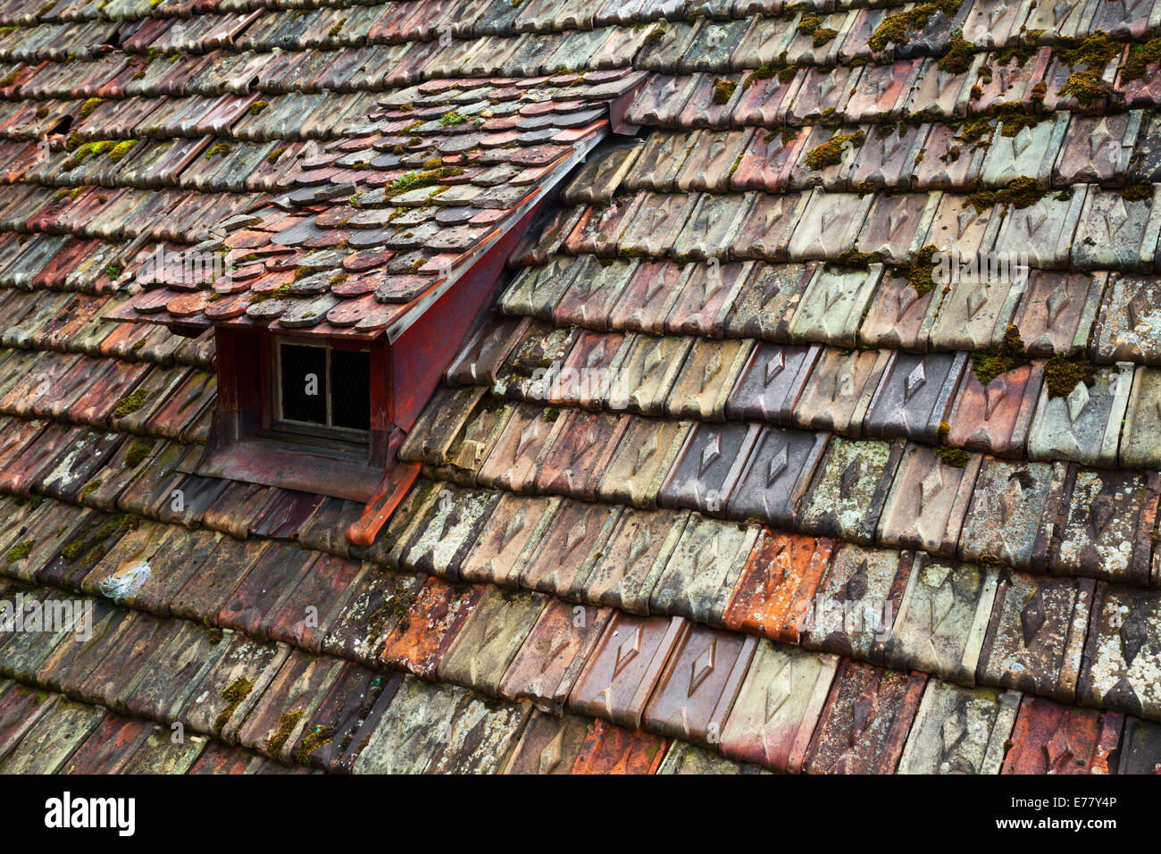 Old weathered toiture en tuiles colorées, Schaffhouse, Suisse Banque D'Images