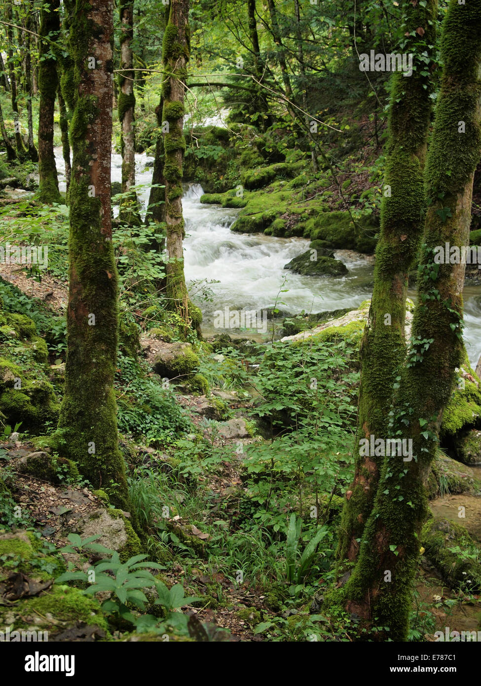 Cascades de Herisson nature park, Jura, France Banque D'Images