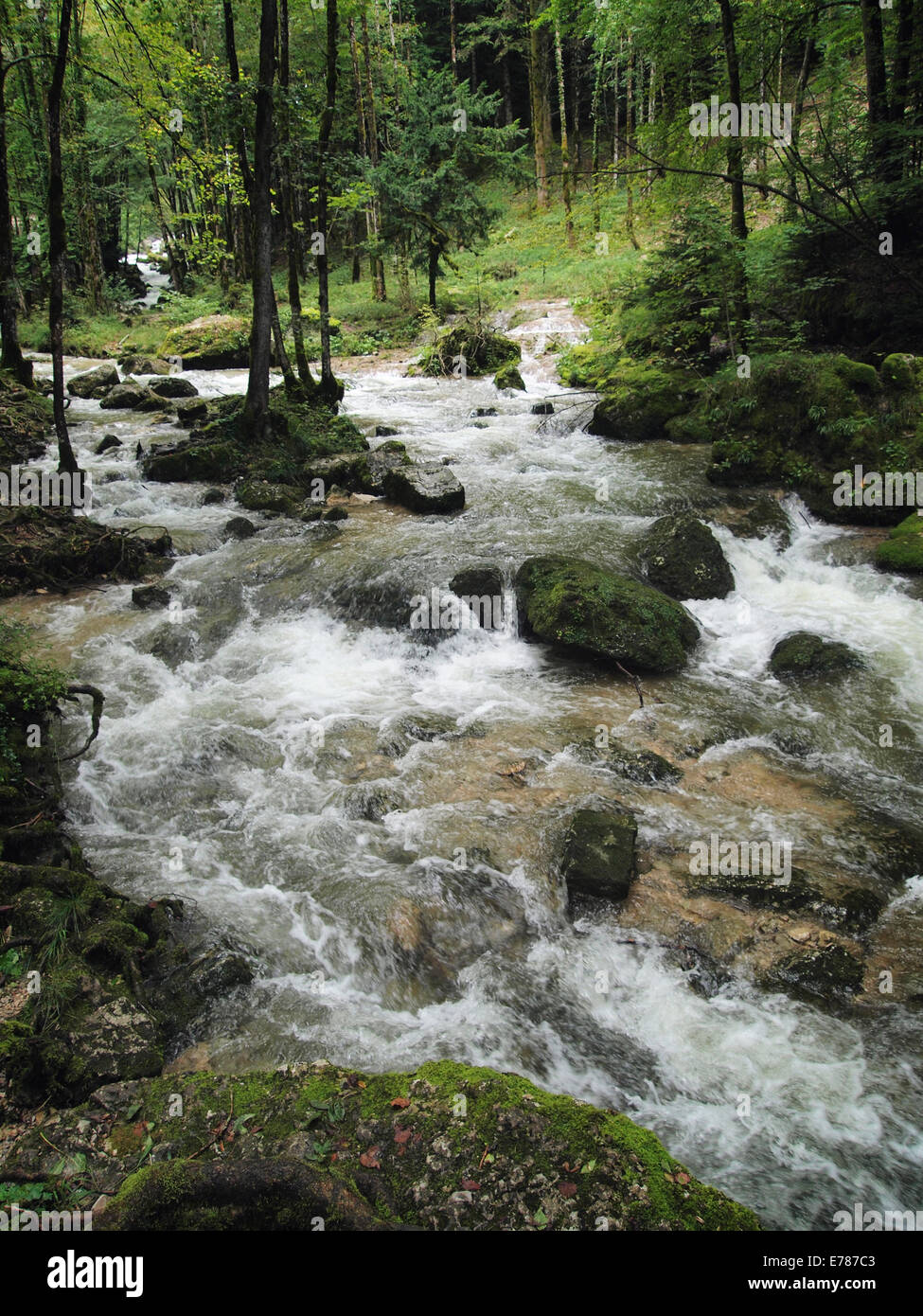 Cascades de Herisson nature park, Jura, France Banque D'Images