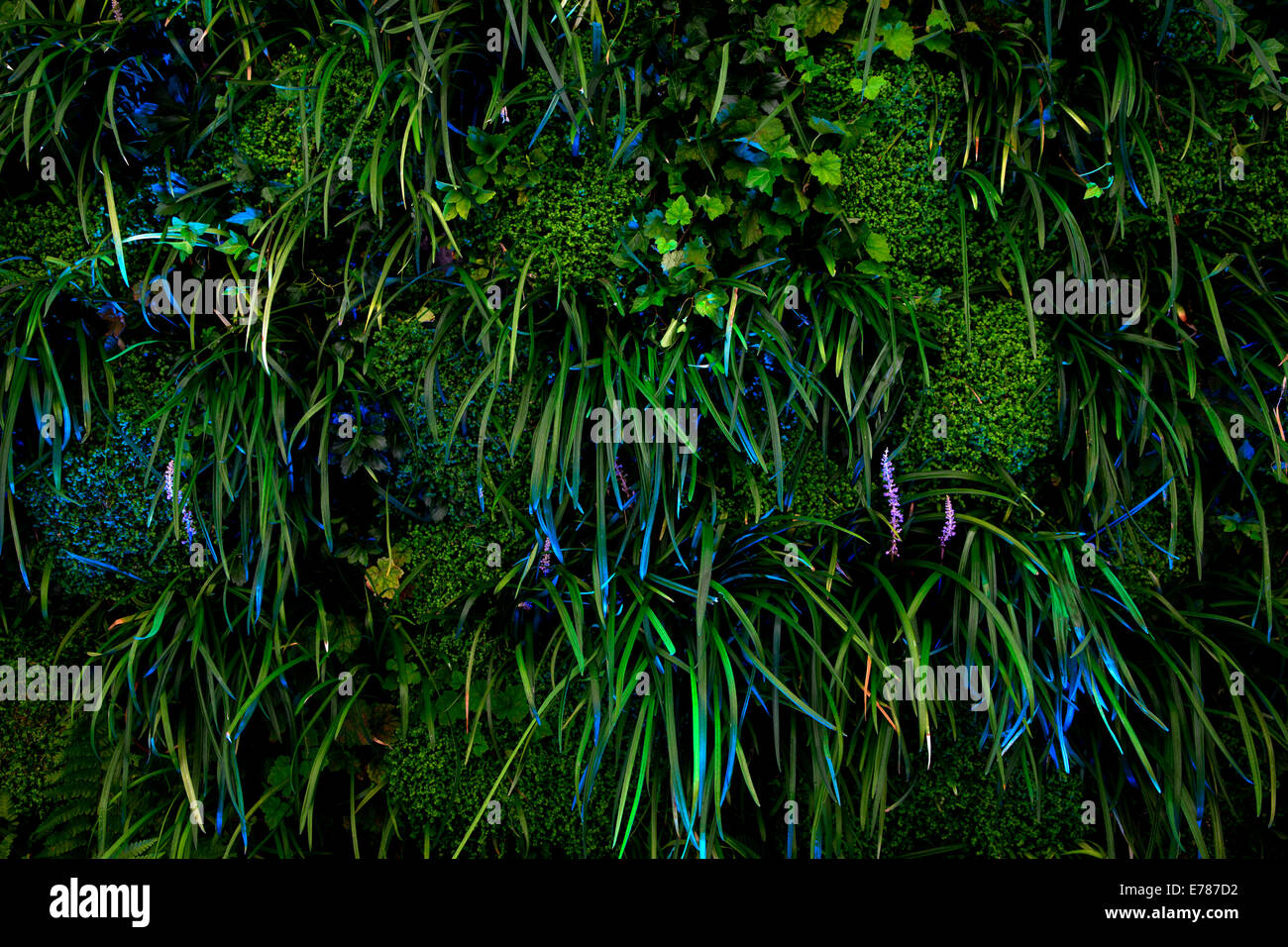 Mur de plantes dans le ciel tente, Shangri-La, Glastonbury Festival 2014. Banque D'Images