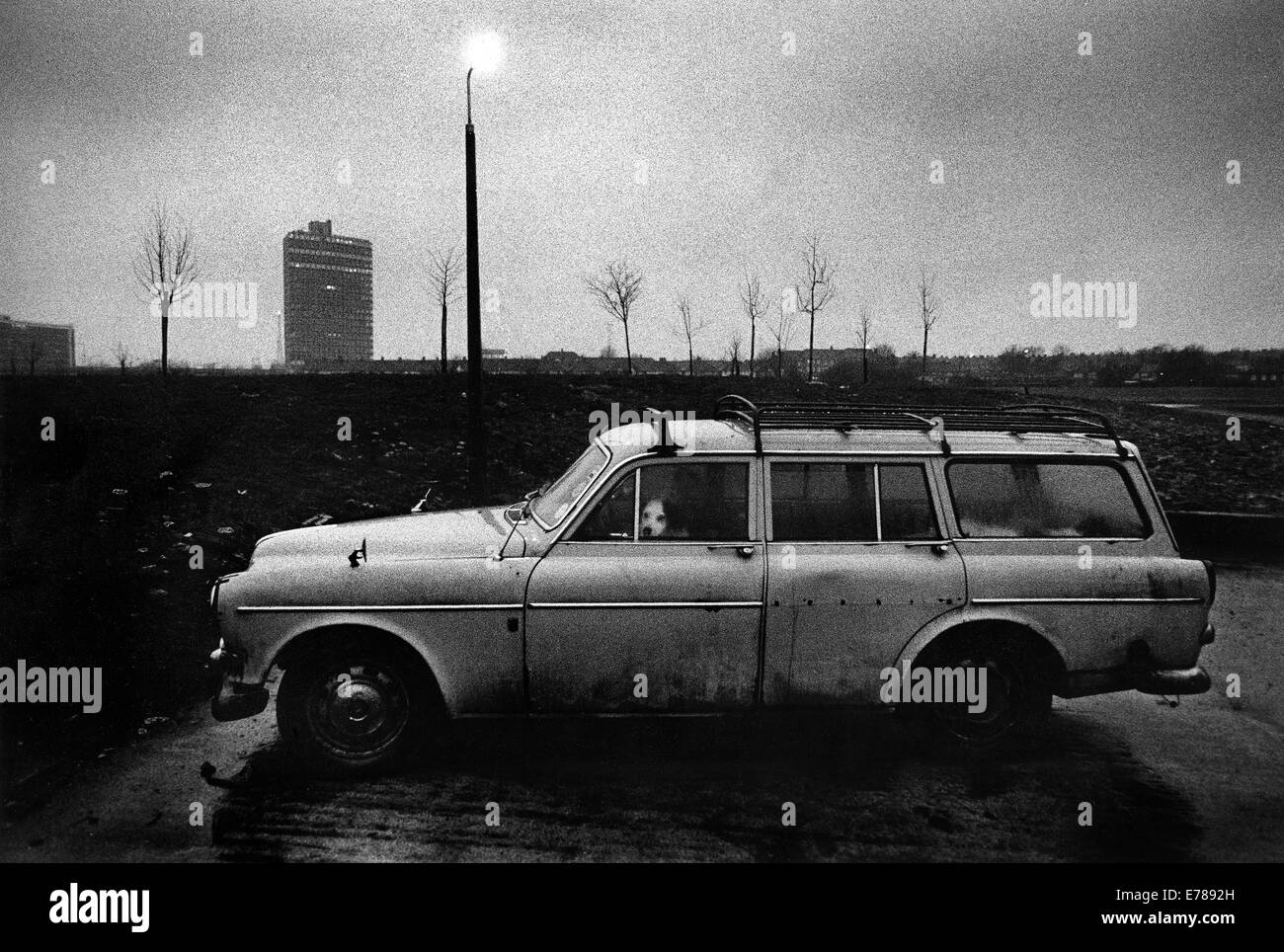 Chien laissé en voiture en stationnement, Neasden Londres Banque D'Images