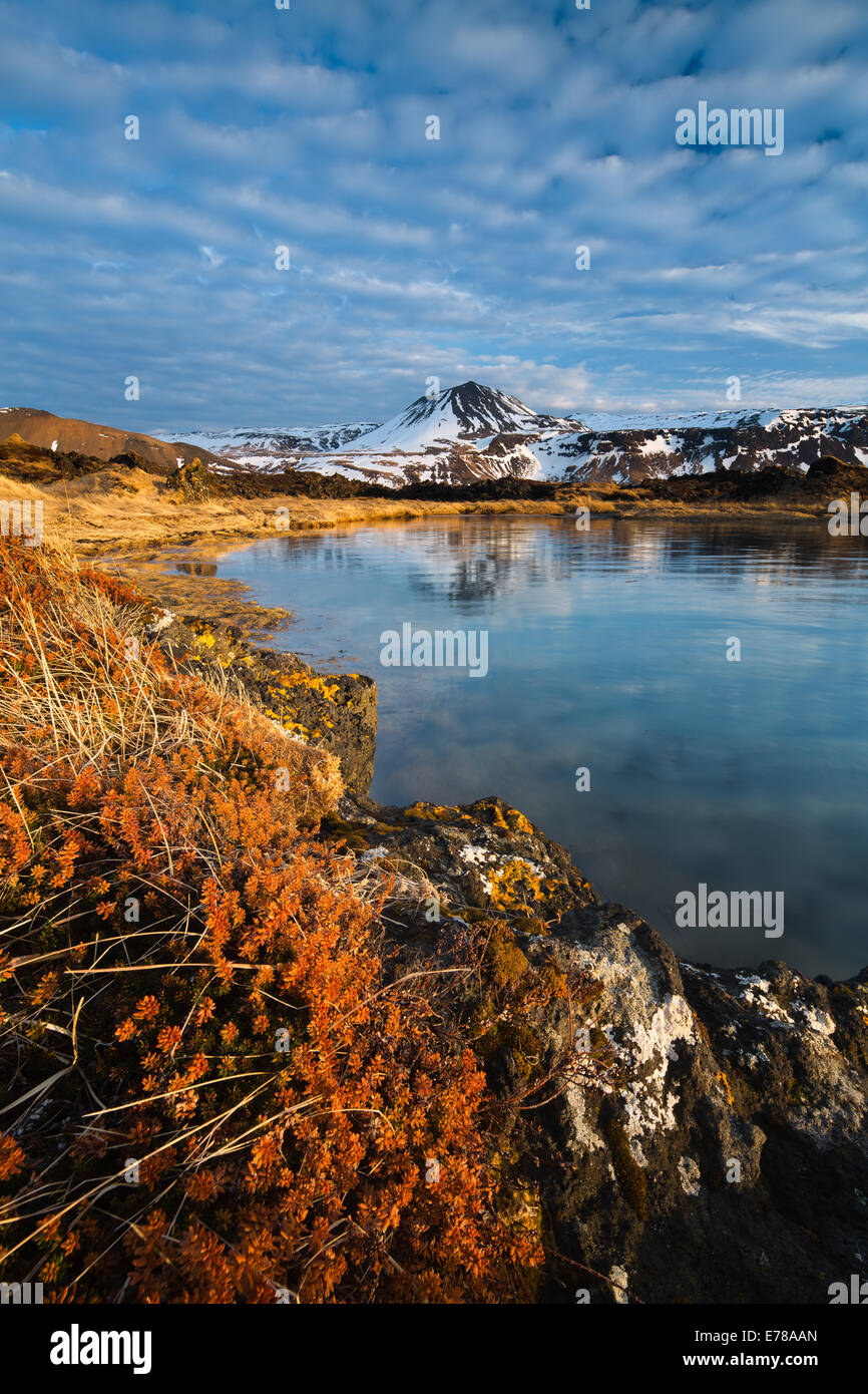 Le lichen sur les rochers de l'Budhraun des champs de lave, avec au-delà de Maelifell, Budir, Péninsule de Snæfellsnes, l'ouest de l'Islande Banque D'Images