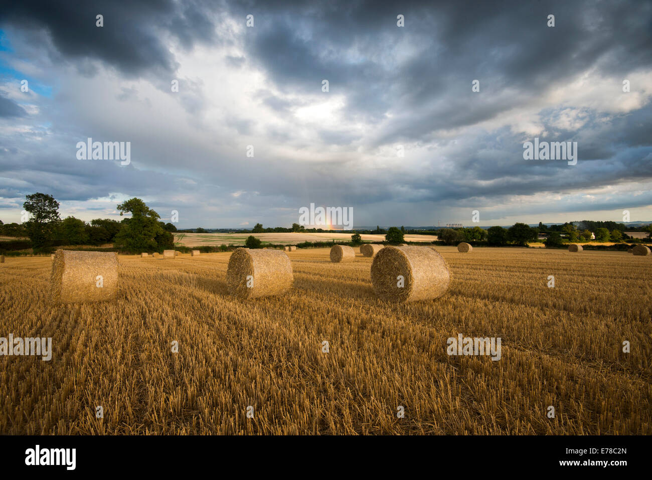 Lumière du soir orageux dans un champ de bottes de foin, Stanton par Dale dans le Derbyshire Banque D'Images