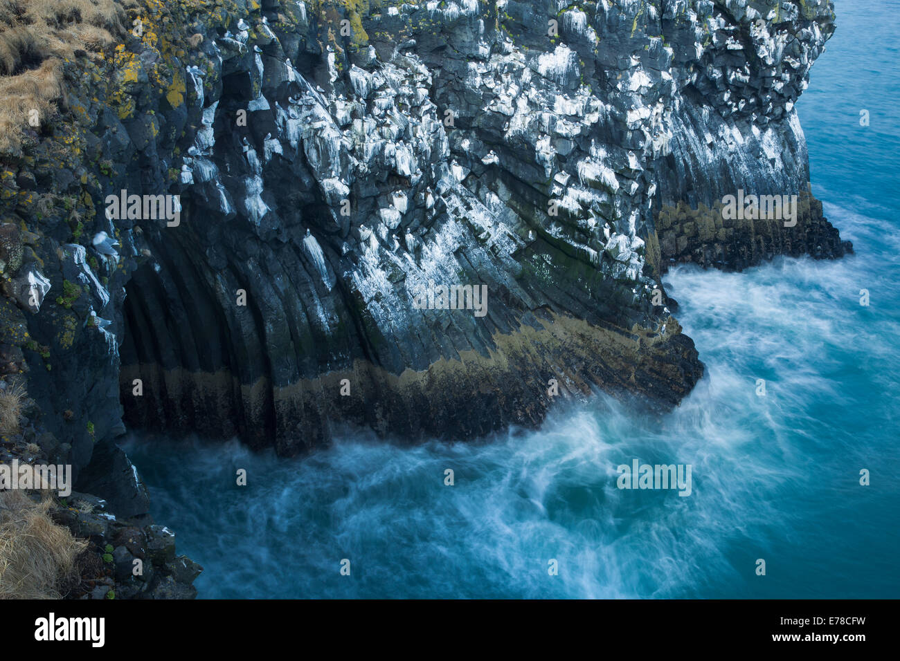 Les falaises striées de guano de fulmars boréaux et les mouettes tridactyles, nr Arnastapi, Péninsule de Snæfellsnes, l'ouest de l'Islande Banque D'Images