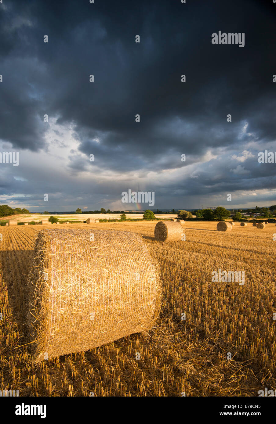 Lumière du soir orageux dans un champ de bottes de foin, Stanton par Dale dans le Derbyshire Banque D'Images