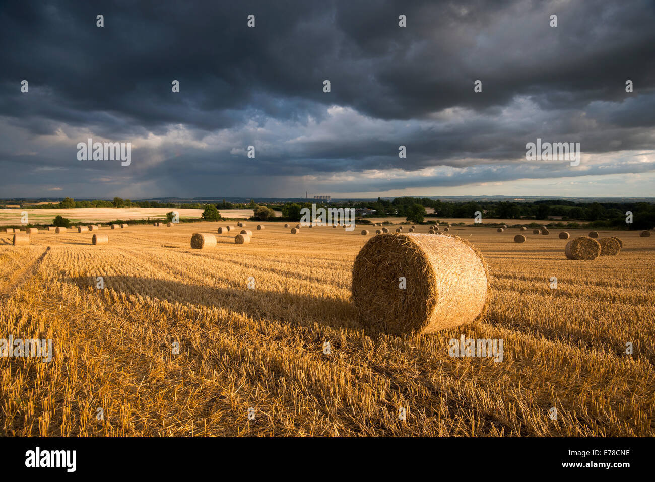 Lumière du soir orageux dans un champ de bottes de foin, Stanton par Dale dans le Derbyshire Banque D'Images