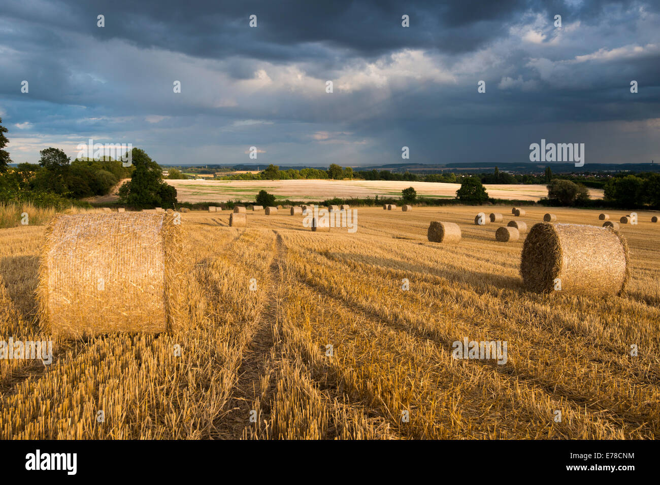 Lumière du soir orageux dans un champ de bottes de foin, Stanton par Dale dans le Derbyshire Banque D'Images