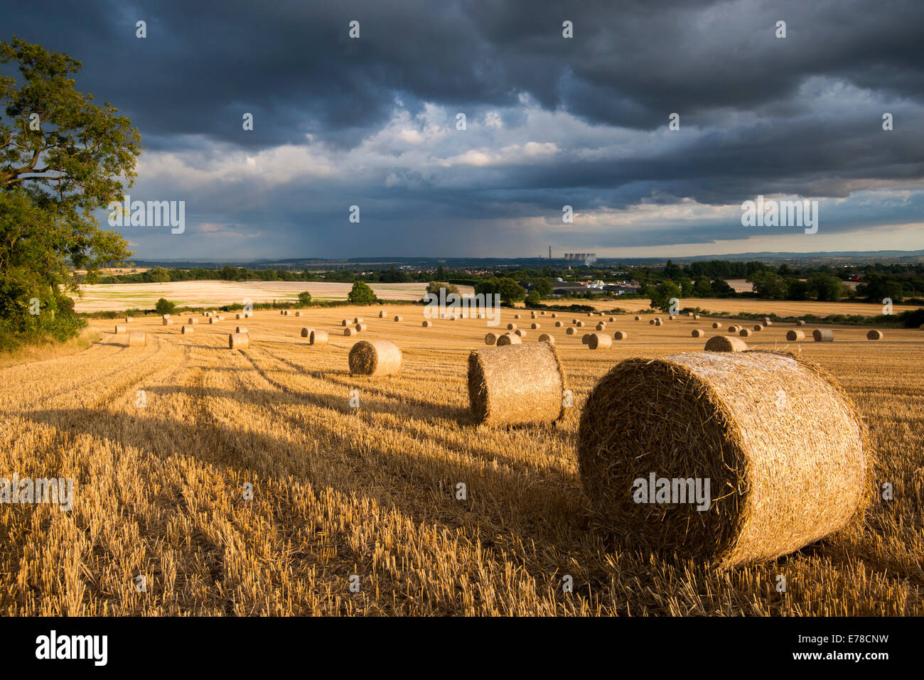 Lumière du soir orageux dans un champ de bottes de foin, Stanton par Dale dans le Derbyshire Banque D'Images