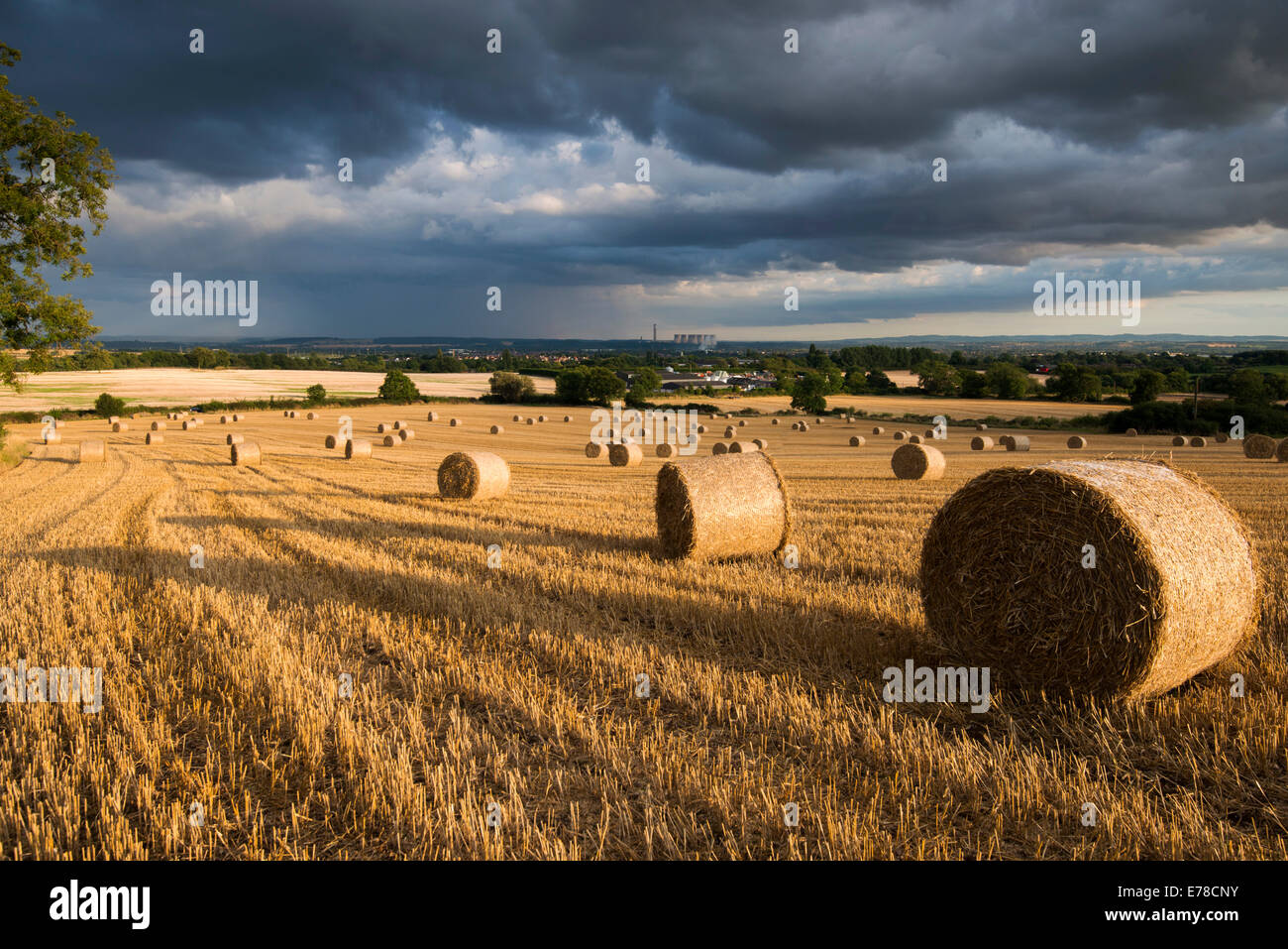 Lumière du soir orageux dans un champ de bottes de foin, Stanton par Dale dans le Derbyshire Banque D'Images