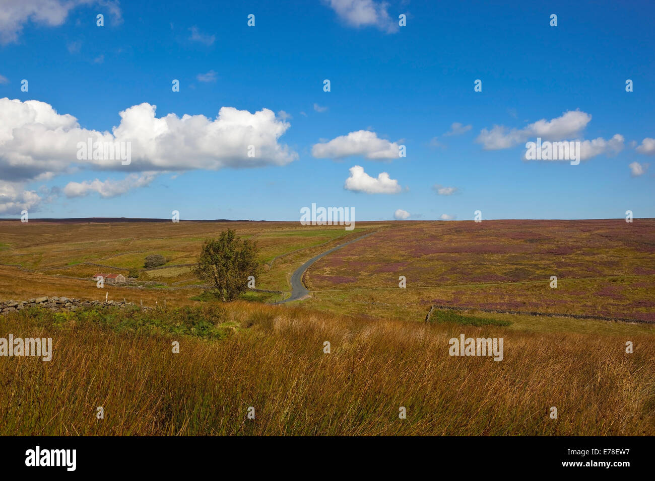 Paysage de montagne anglais avec une vue sur la North York Moors dans Yorkshire du Nord à l'automne Banque D'Images