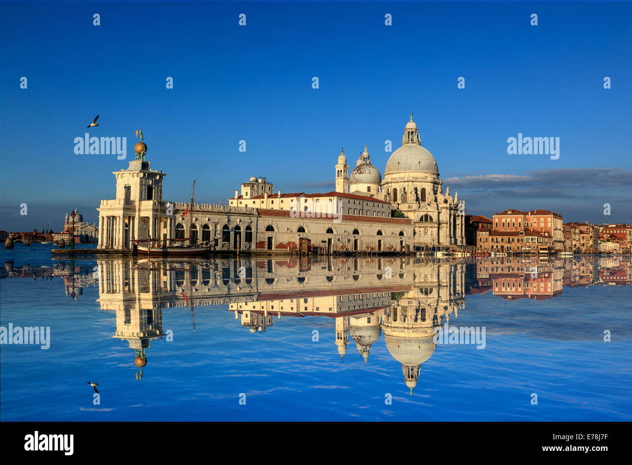 Santa Maria della Salute est la célèbre église sur la rive du Grand Canal à Venise Italie Banque D'Images