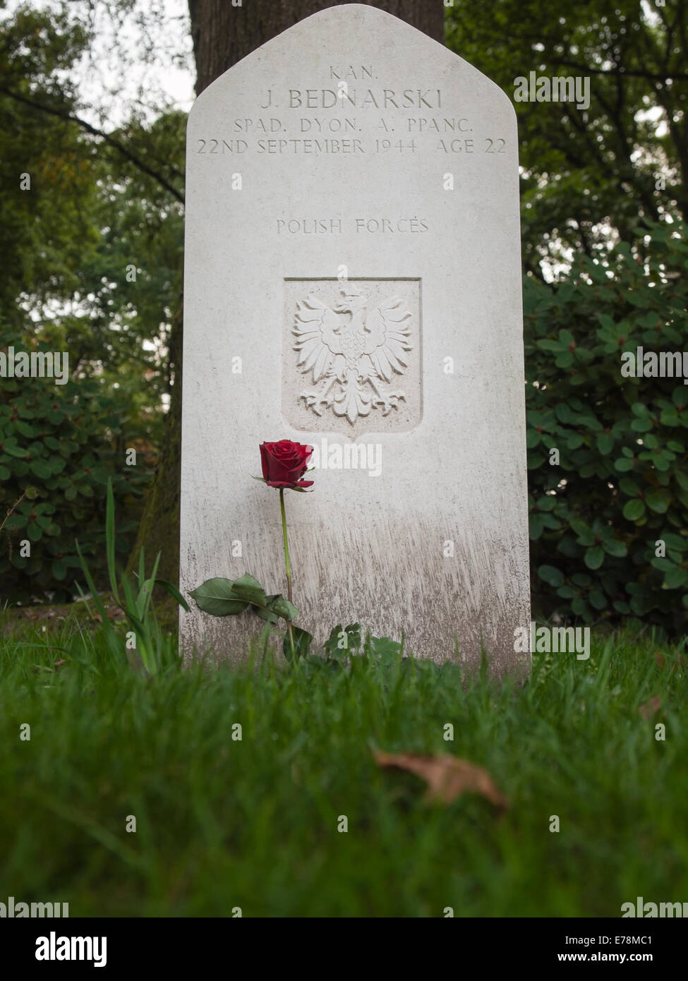 Pierre tombale d'un membre de la Fédération polonaise de forces aéroportées au cimetière de guerre oosterbeek pour les morts de la bataille d'Arnhem Banque D'Images