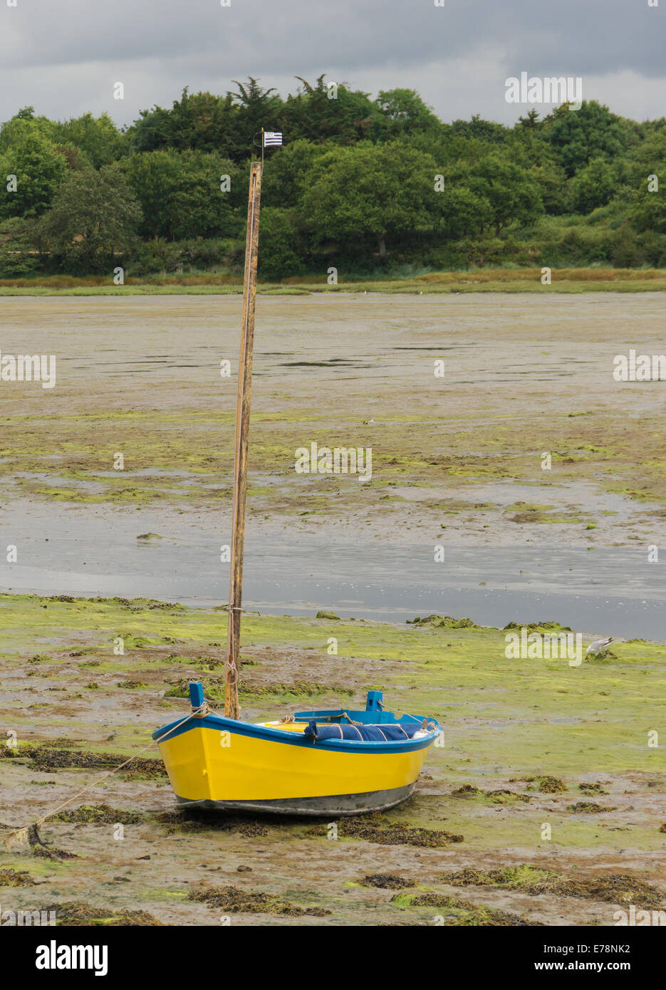 Un petit bateau jaune, marée basse, Conleau, Golfe du Morbihan, France. Banque D'Images