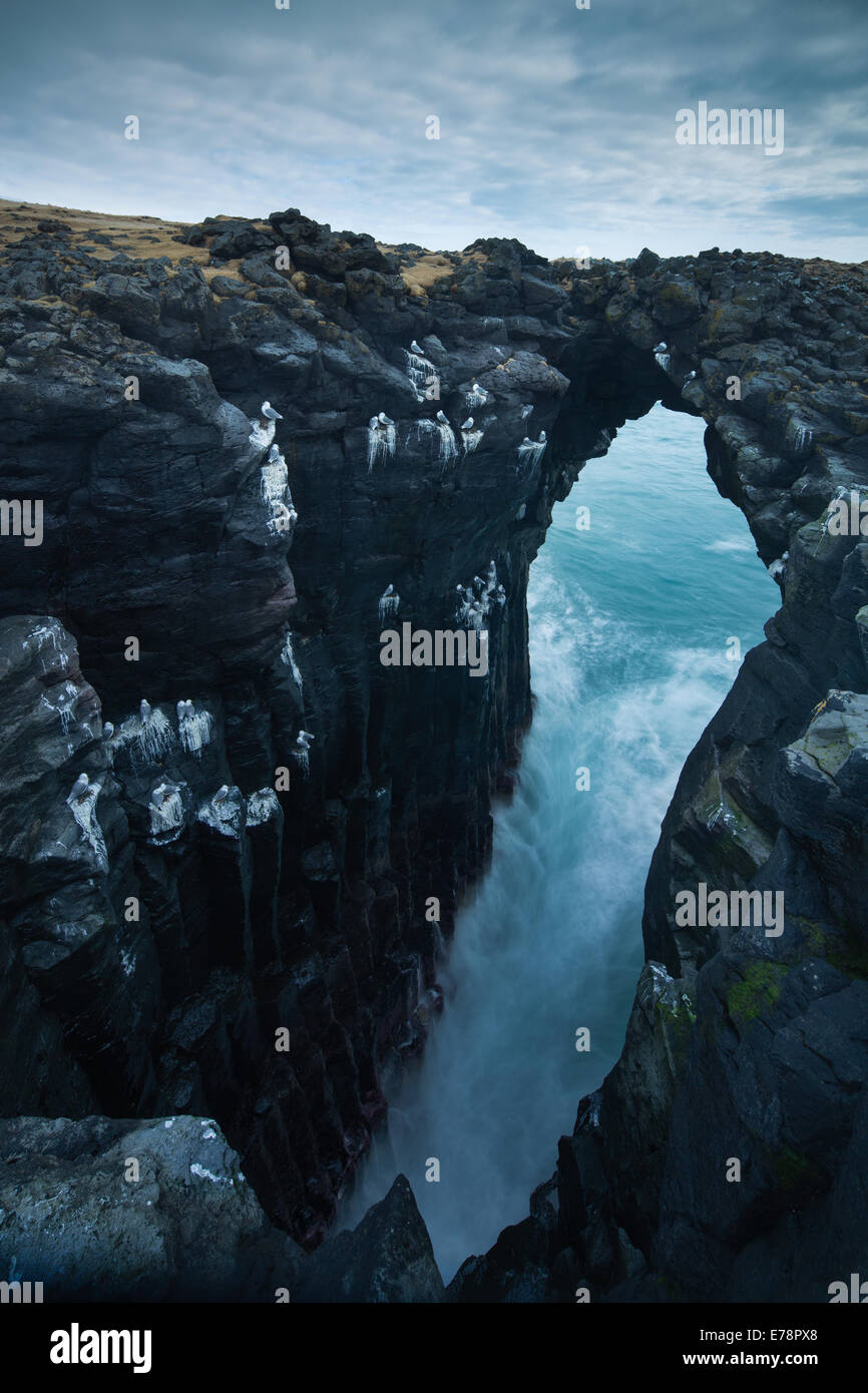 Grotte de la mer de rayures le guano de mouettes tridactyles et de fulmars boréaux, nr Arnastapi, Péninsule de Snæfellsnes, l'ouest de l'Islande Banque D'Images