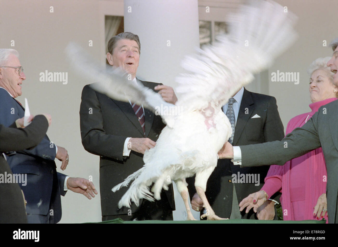 Cérémonie à la Maison Blanche pour recevoir la dinde de Thanksgiving, 40e Banque D'Images
