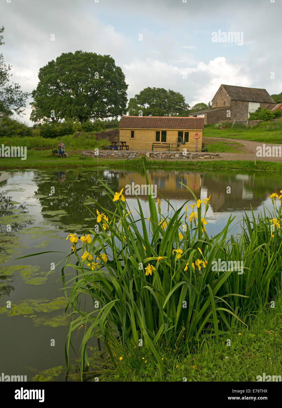 Paysage rural pittoresque, pêcheur assis par gros ferme étang de pêche avec iris, arbres & barn reflète dans l'eau de surface miroir en Angleterre Banque D'Images