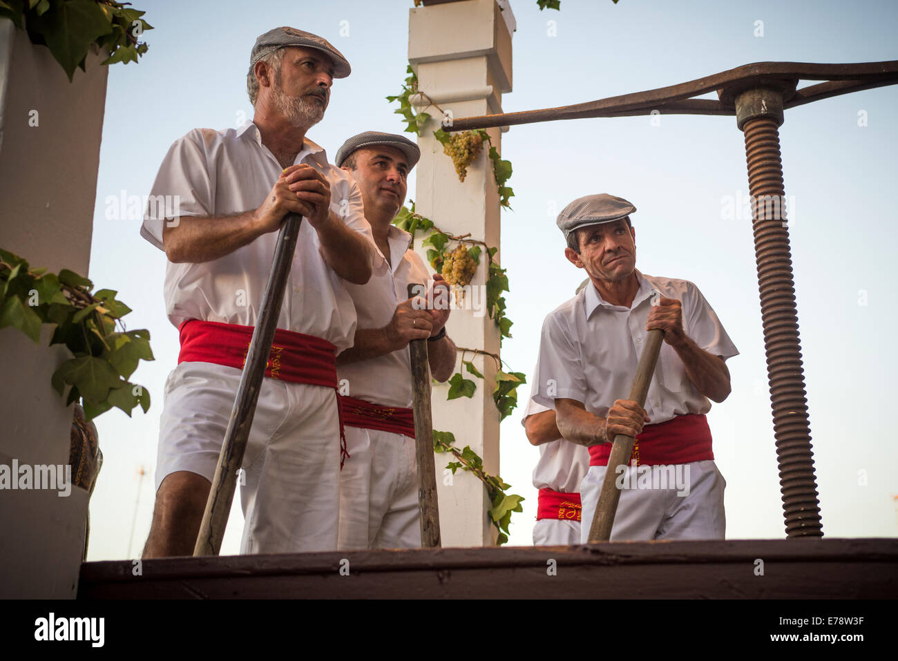 Jerez de la Frontera, Espagne, 09 Septembre, 2014 : raisin traditionnel stomp à Jerez de la frontera, cérémonie inaugurale de la fête de la récolte, lorsque les travailleurs foulent au pressoir pour sortir le vin de Xérès. Credit : Kiko Jimenez/Alamy Live News Banque D'Images