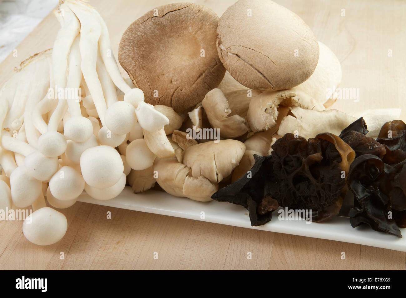 Sélection de champignons Banque D'Images