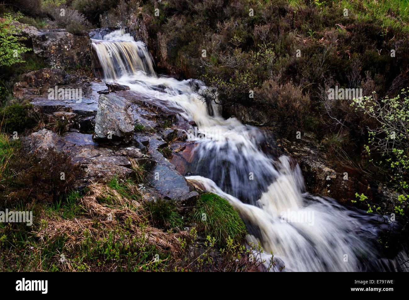 Ruisseau de montagne, Isle of Arran, Ecosse Banque D'Images