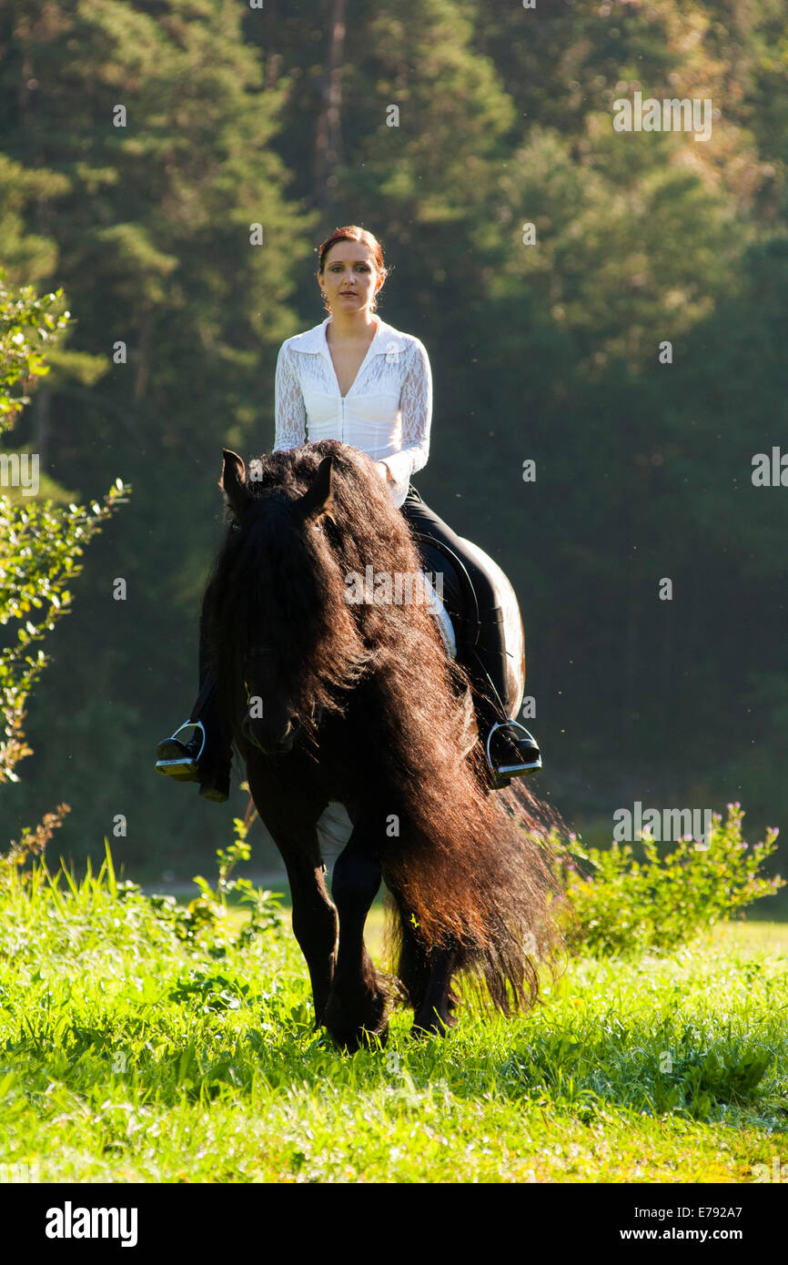 Cavalière montant un cheval frison noir avec une longue crête, lors d'une promenade dans le domaine, le nord de Tyrol, Autriche Banque D'Images