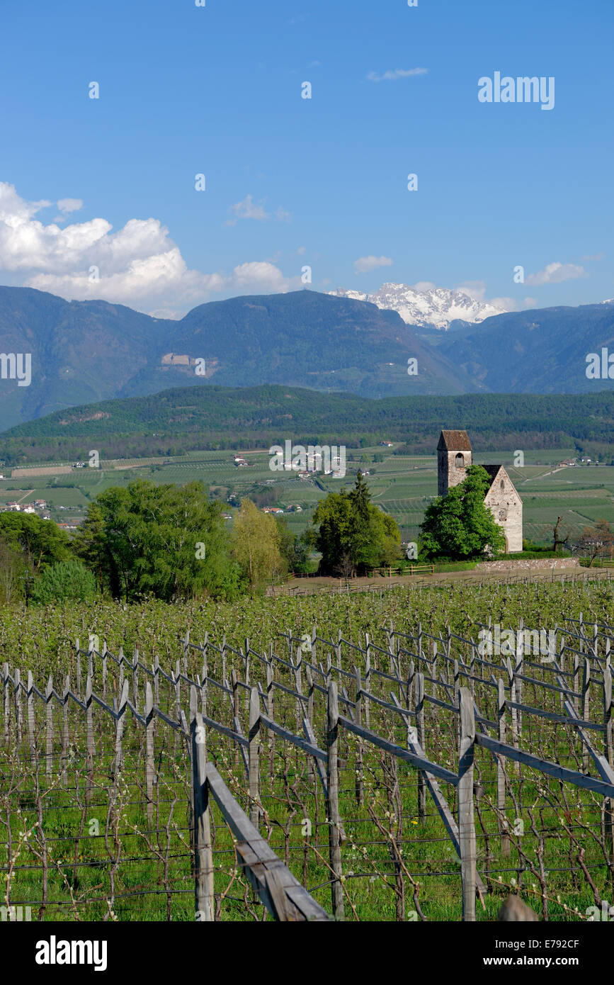 De plus en plus de vin à l'église du château de Saint-Sébastien, Schloss Englar à Appiano sur la Route des Vins, à Überetsch, Tyrol du Sud, Italie Banque D'Images