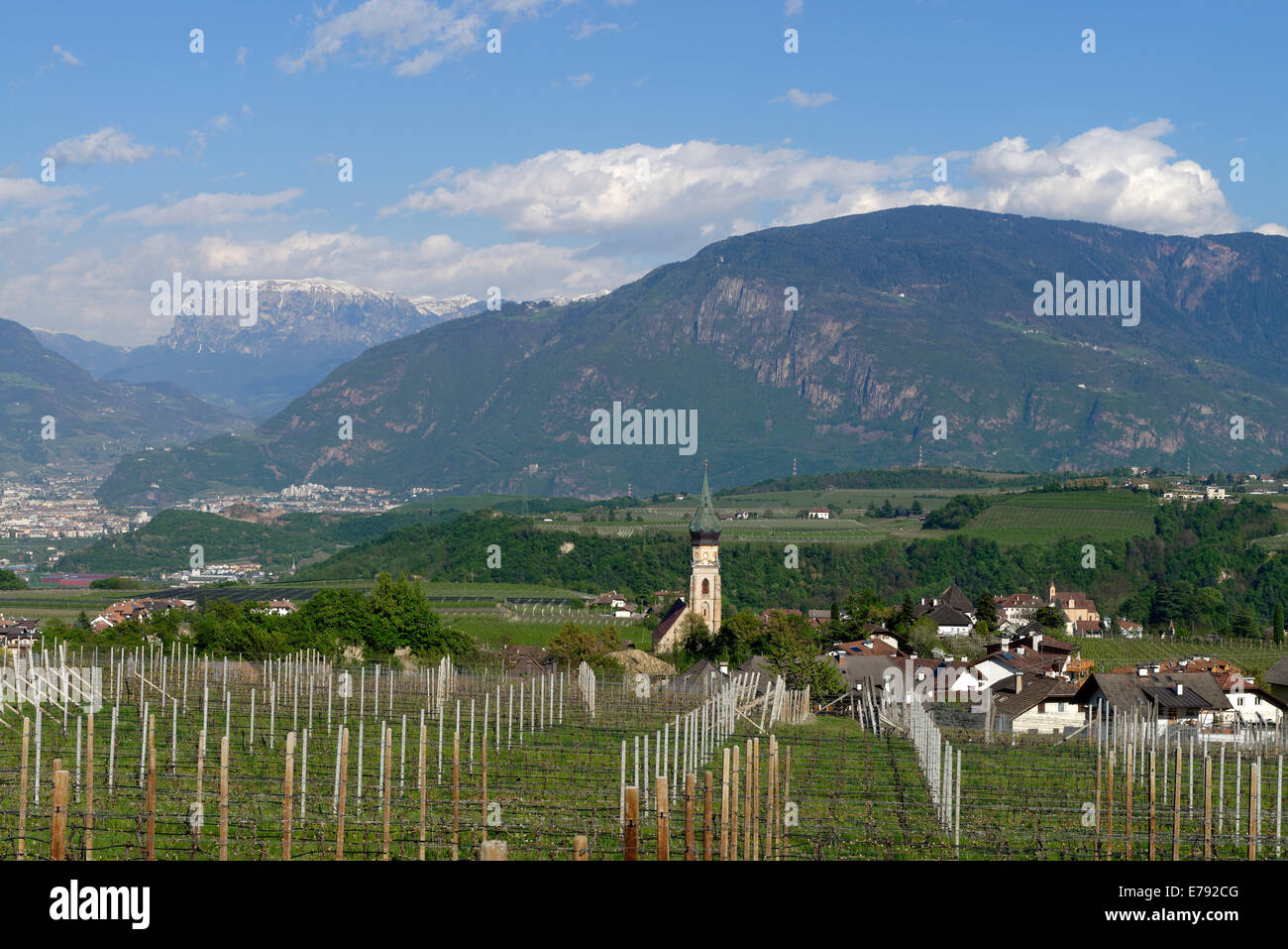 La viticulture, à St. Paul's sur la Route des Vins, Tyrol du Sud, Italie Überetsch Banque D'Images