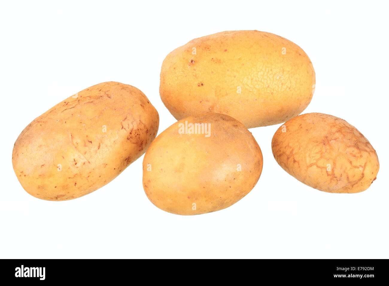 Les pommes de terre, variété de talents Banque D'Images