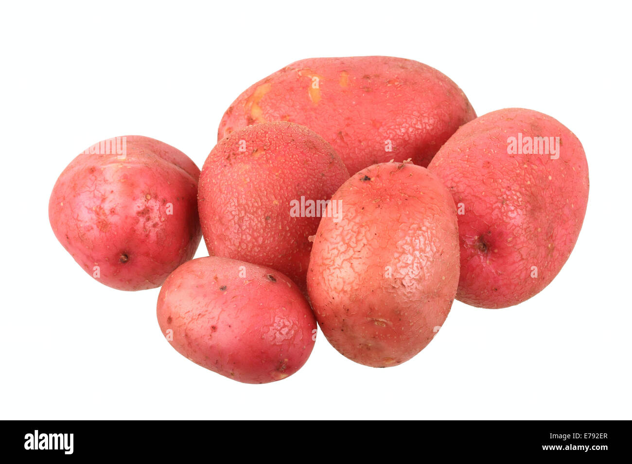 Les pommes de terre, variétés de fantaisie rouge Banque D'Images