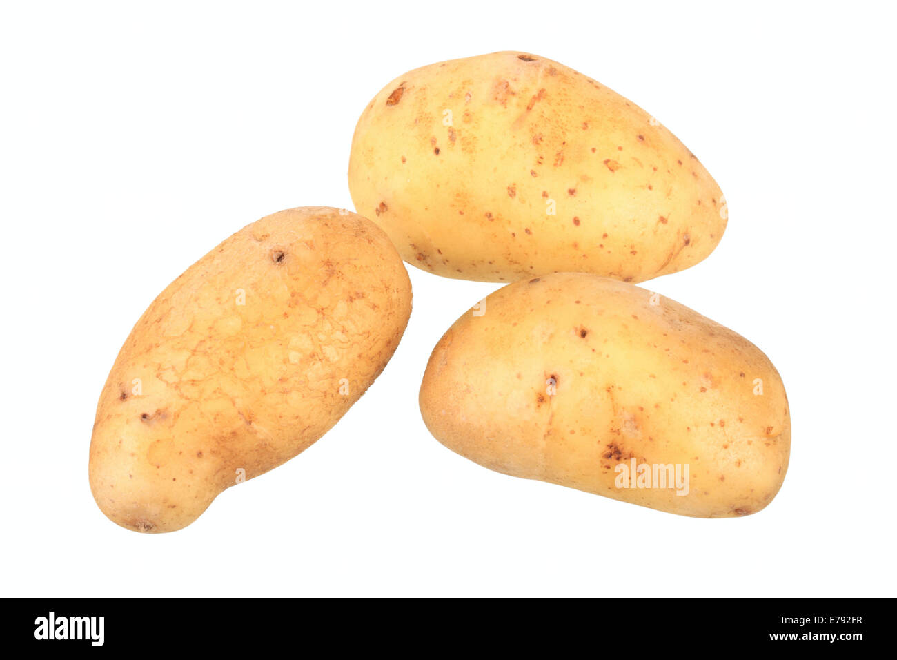 Les pommes de terre, de l'or variété Maya Banque D'Images