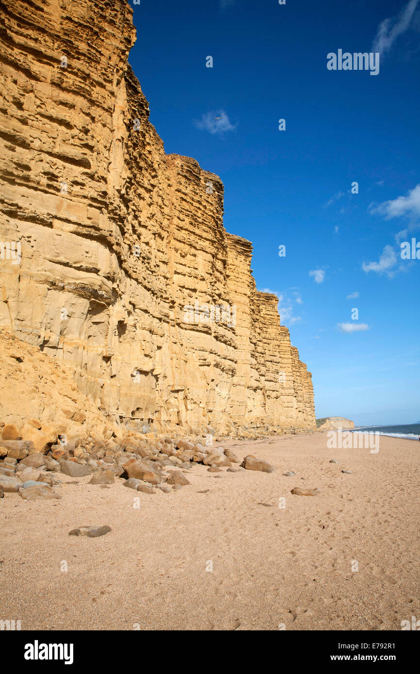 Falaises de grès et West Bay Beach, Bridport, Dorset, Angleterre Banque D'Images