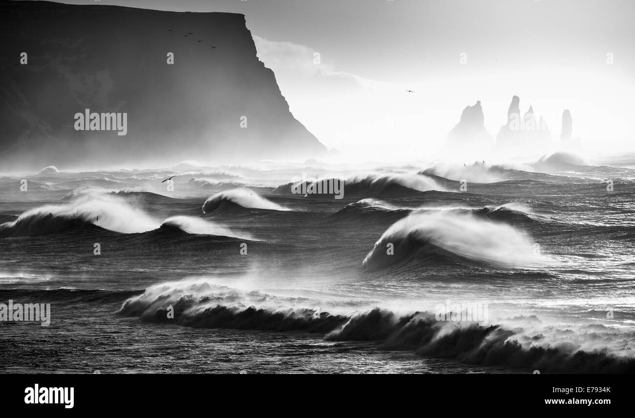 Vagues se brisant sur Renisfjara beach alors que les oiseaux passent au-dessus, dans le sud de l'Islande Banque D'Images