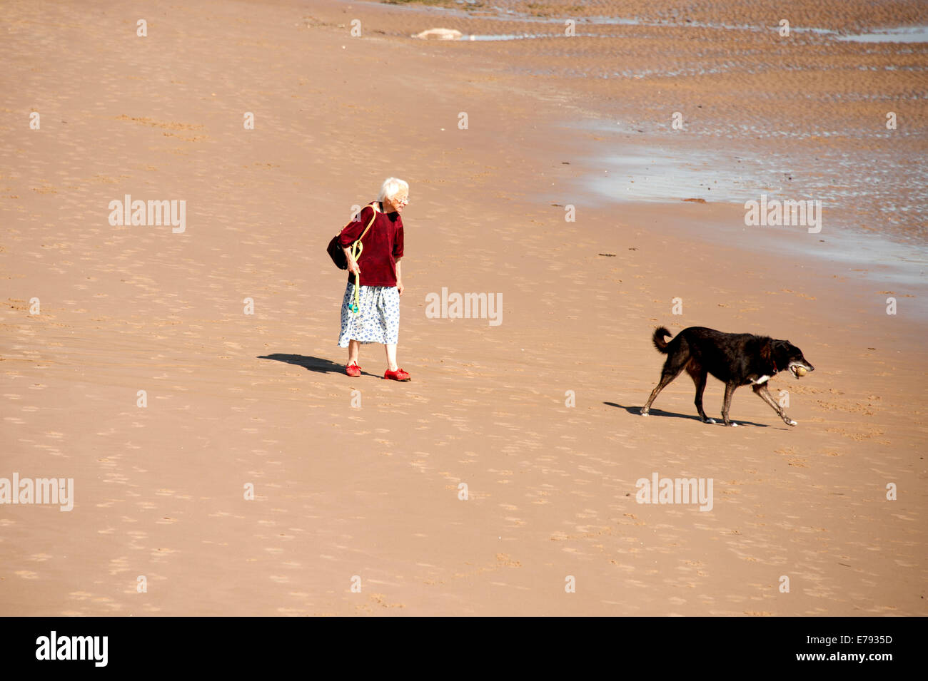 Old Lady Woman Walking Dog On Beach personnes âgées actives Banque D'Images