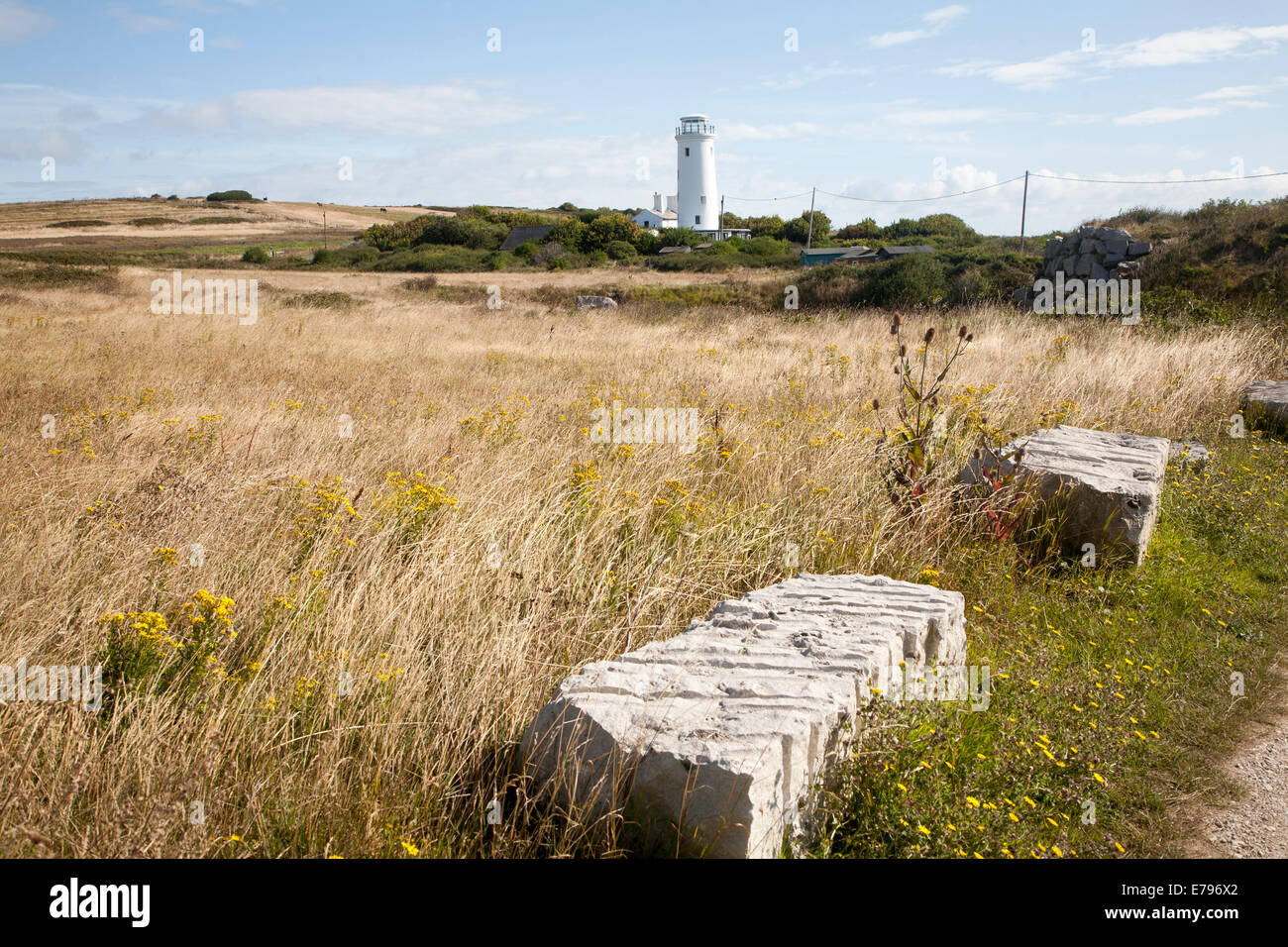 Vieux phare blanc maintenant un Observatoire ornithologique à Portland Bill, à l'Île de Portland, Dorset, Angleterre Banque D'Images