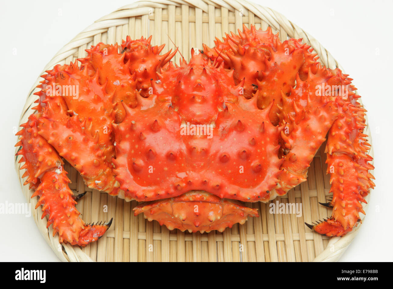 Crabe de Hanasaki Banque D'Images