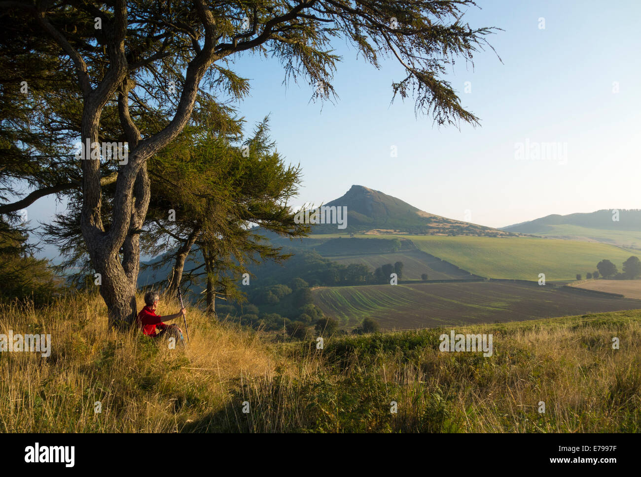 North York Moors, National Park, Royaume-Uni. 10 Septembre, 2014. Météo France. profiter le soleil du matin car elle brûle au large de la brume près de Roseberry Topping (aussi surnommé le Yorkshire Matterhorn en raison de sa forme caractéristique) dans le North York Moors National Park près de Great Ayton village sur une glorieuse mercredi matin. Credit : ALANDAWSONPHOTOGRAPHY/Alamy Live News Banque D'Images