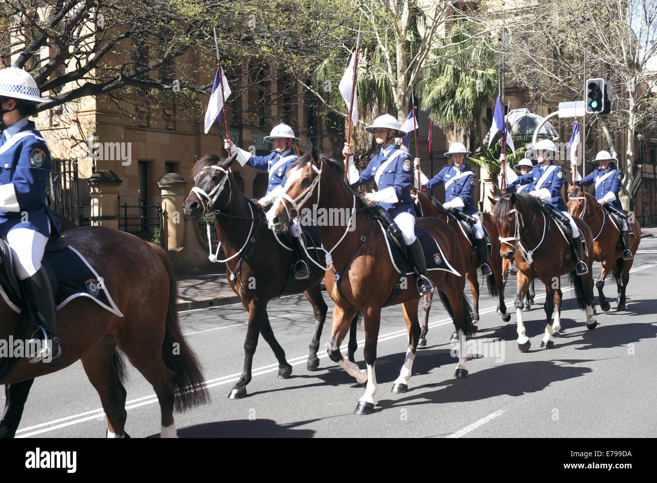 New South Wales police le cheval monté dans le cadre de la cérémonie pour gouverneur marie bashir au Parlement chambre,Sydney Banque D'Images
