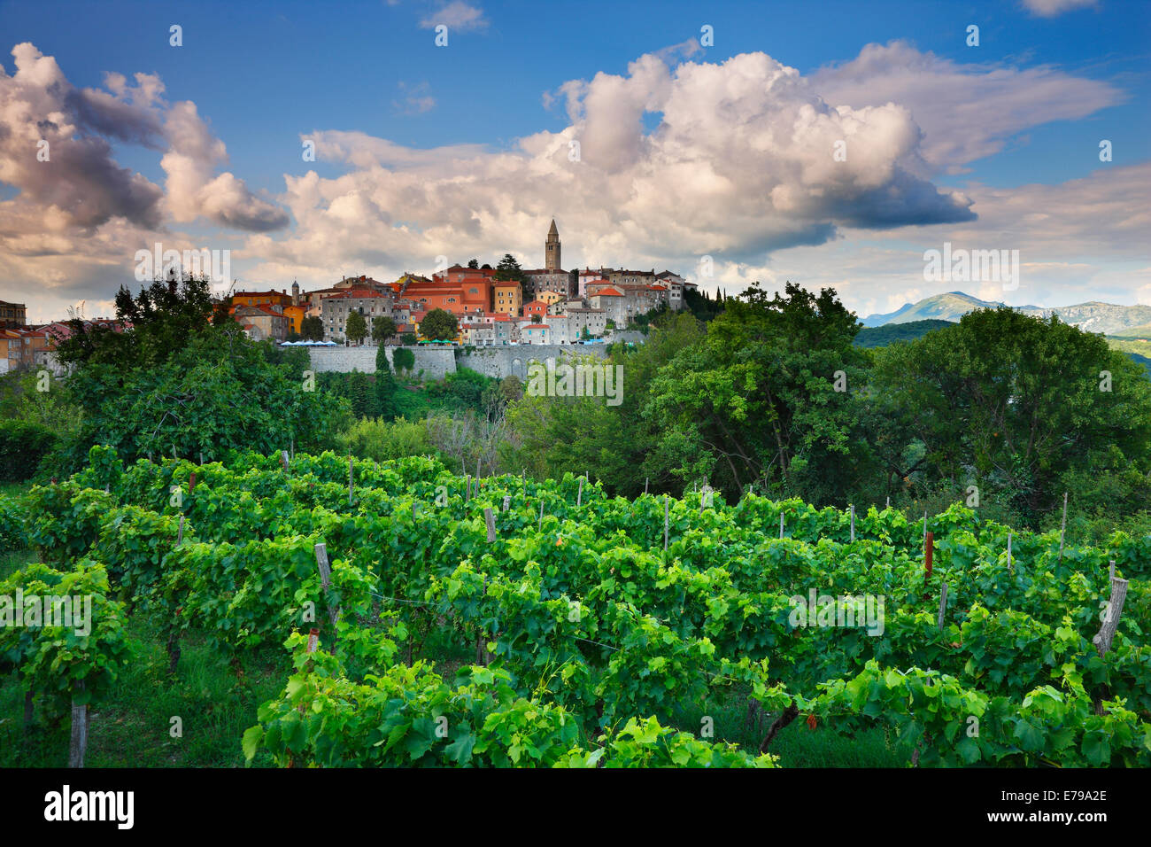 Rovinj - Istrie, Croatie Banque D'Images