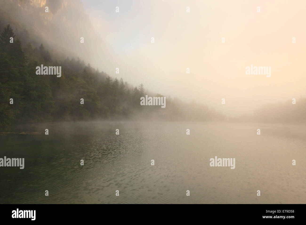 Brume du matin sur un lac, Kramsach, Unterland tyrolien, Tyrol, Autriche Banque D'Images