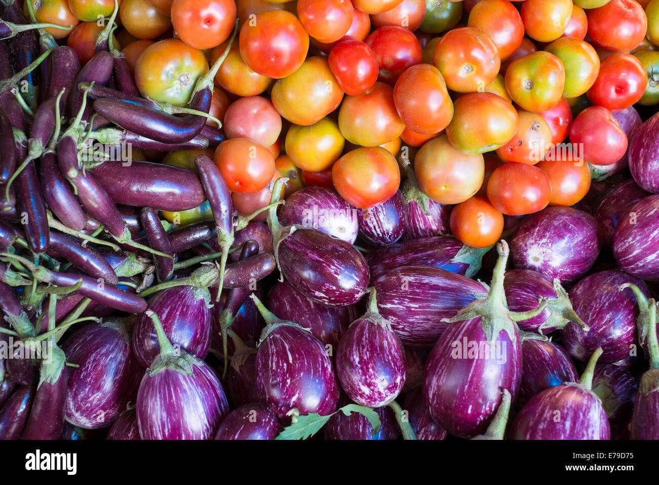 Les Tomates et aubergines at a market stall, Mysore, Karnataka, Inde Banque D'Images