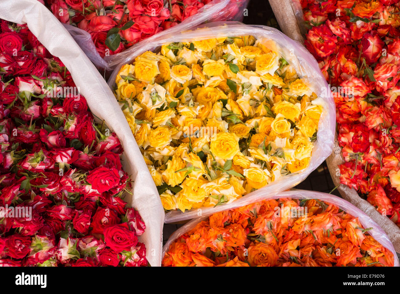 Roses at a market stall, Mysore, Karnataka, Inde Banque D'Images