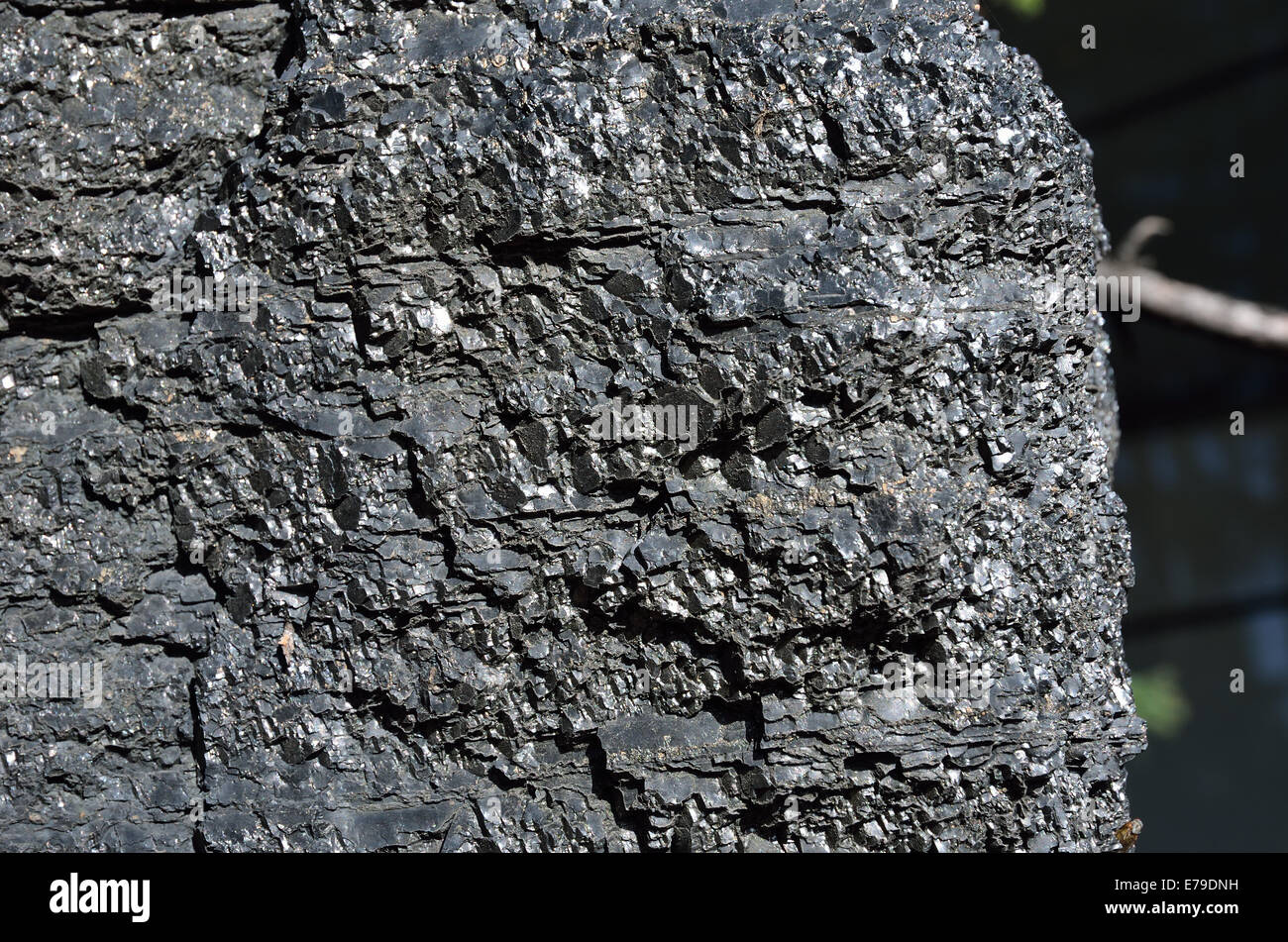 Close-up du charbon bitumineux d'une seule pièce Banque D'Images