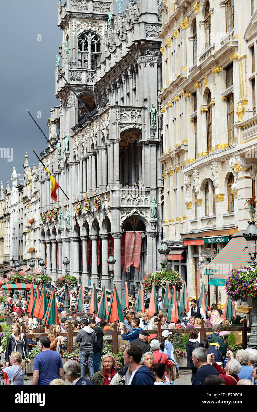 Bruxelles, Belgique - 15 août 2014 : Grand Place bondée de touristes à visiter le tapis de fleurs, des musées et restaurants Banque D'Images