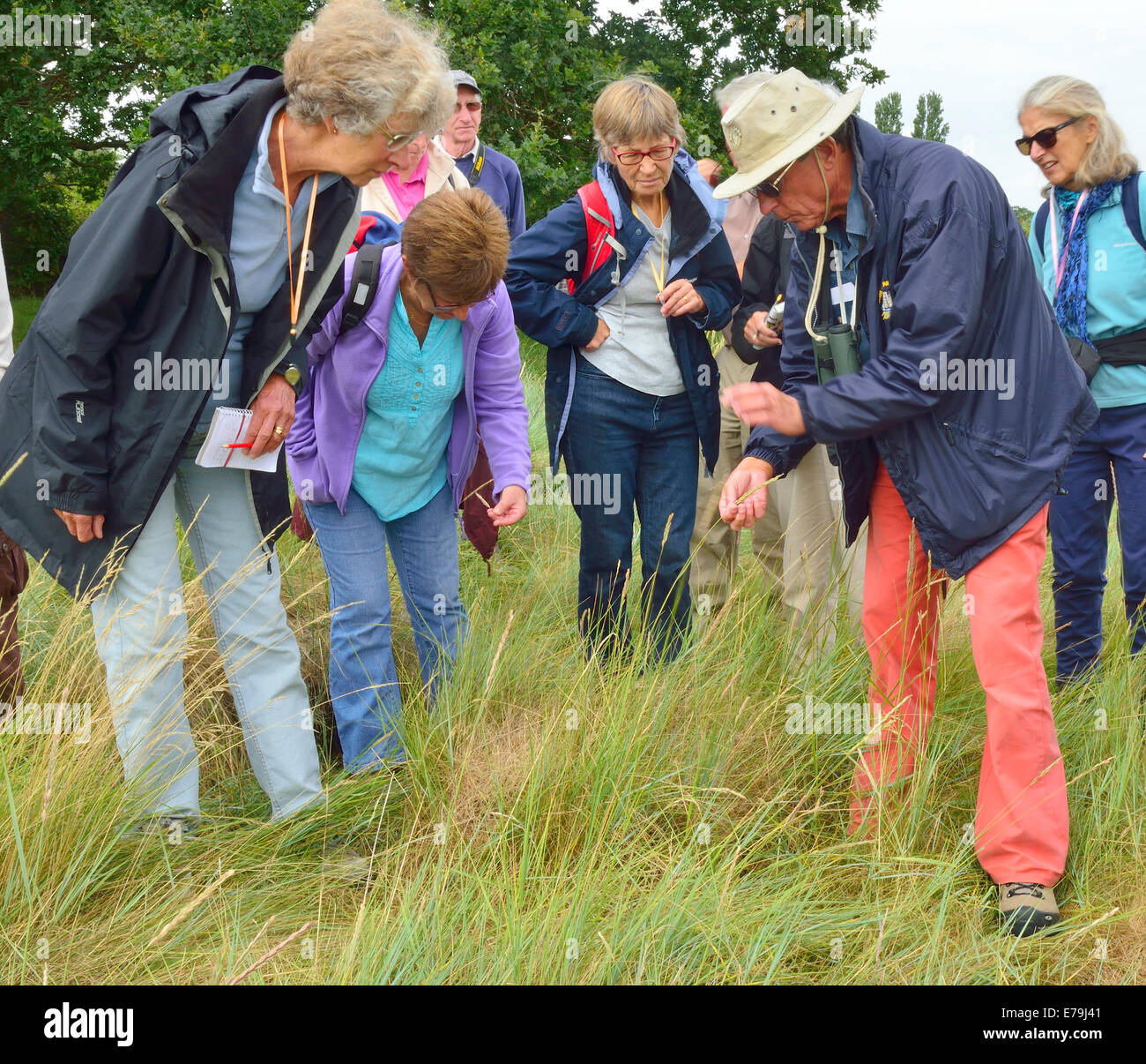 Groupe d'étude sur le terrain d'amateurs avec un biologiste sur les marais salants de Chichester Harbour, Northney, Hayling Island, West Sussex, Angleterre Banque D'Images