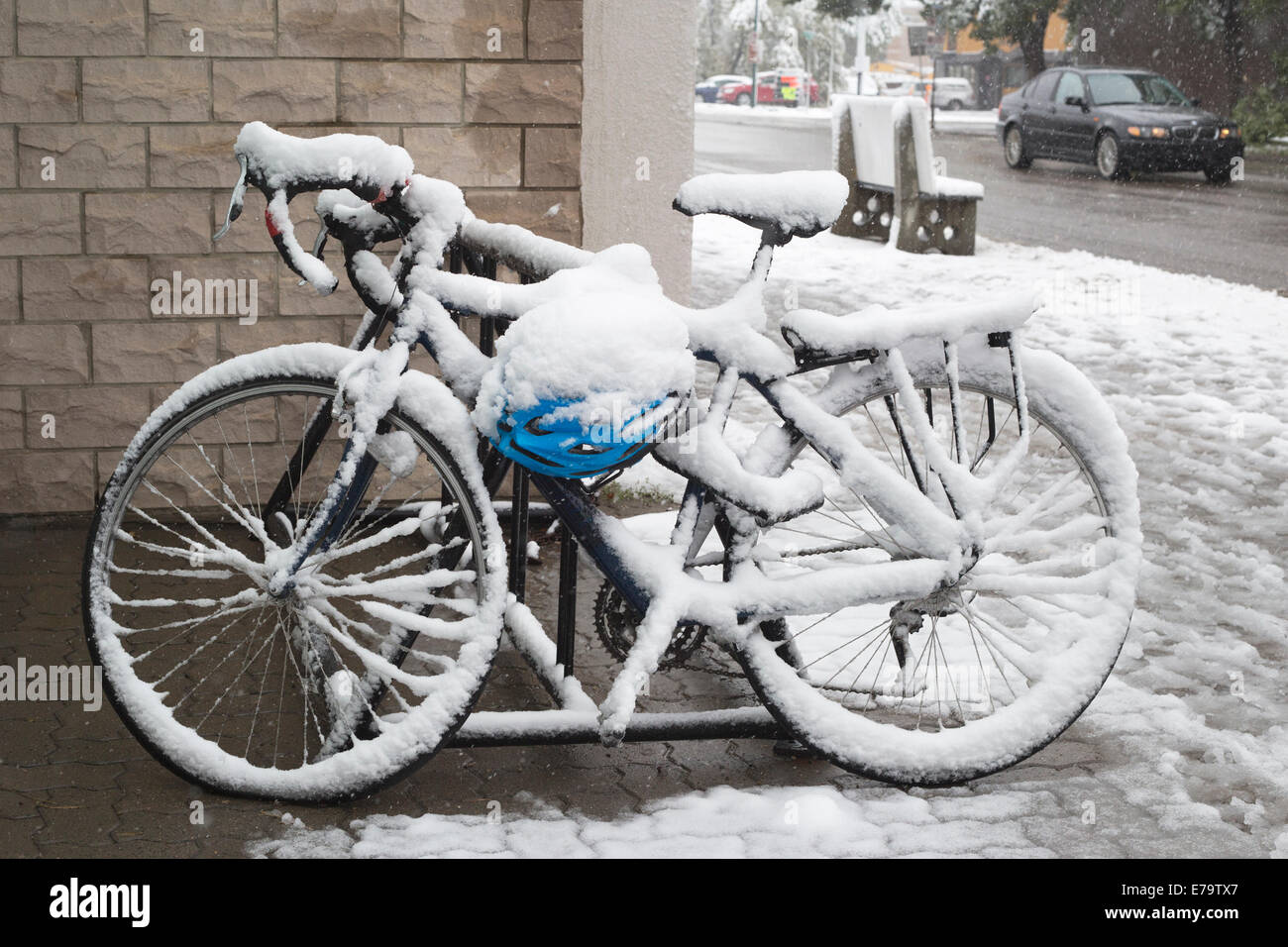 Calgary (Alberta), Canada, 10 septembre 2014. La neige couvre un vélo dans le quartier de Hillhurst. Le centre des opérations d'urgence de Calgary a ouvert ses portes en réponse à la tempête de la fin de l'été. Le maire Nenshi a annoncé sur Twitter que les priorités de 3 sont la sécurité publique, la restauration de l'énergie et le dégagement des débris. Crédit : Rosanne Tackaberry/Alamy Live News Banque D'Images