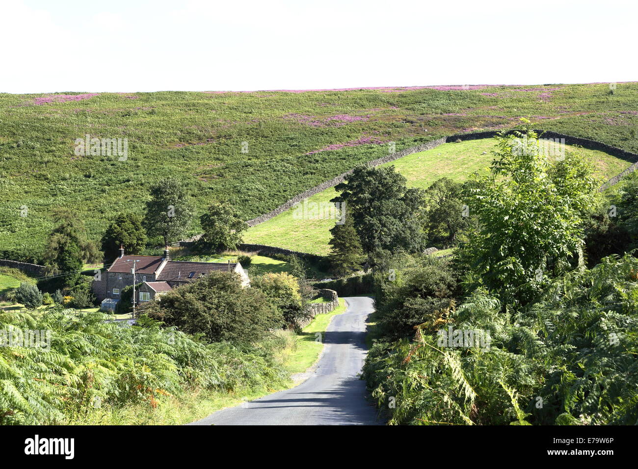 Fryupdale Moorland Road North Yorkshire Banque D'Images